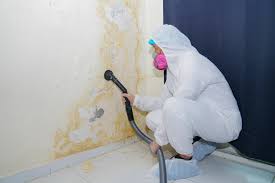 Mold Odor Removal Services in Fairborn, OH